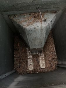 Leaves and Branches in HVAC system, Advanced Air Conditioning and Heating Bossier