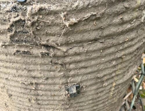 Air Conditioning Repairs: When to Call for Help